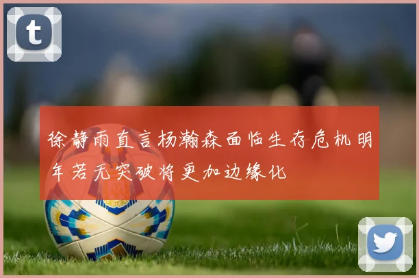 徐静雨直言杨瀚森面临生存危机明年若无突破将更加边缘化