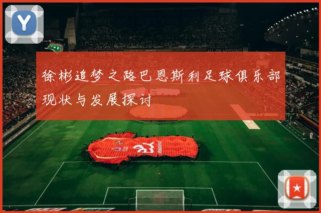 徐彬追梦之路巴恩斯利足球俱乐部现状与发展探讨